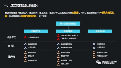 集团数据管控与数据治理解决方案 打造高效、可信的数据处理服务