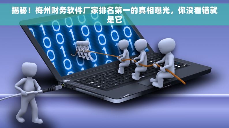 揭秘！梅州财务软件厂家排名第一的真相，你没看错就是它